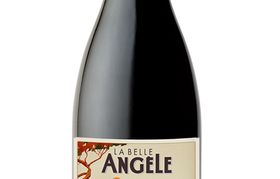 la-belle-ange%e2%95%a0cle-syrah-nm-3